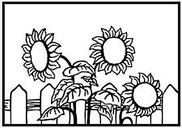 Sonnenblumen / sunflower - Prägeschablone / Embossing Folder